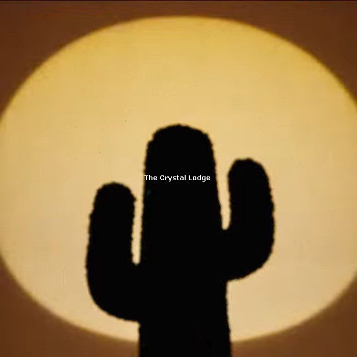 Swarovski_Gufram_Guframini_cactus_5751616 | The Crystal Lodge