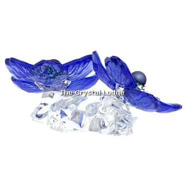 Swarovski_Idyllia_SCS_Anemone_Coronaria_flower_5717850 | The Crystal Lodge