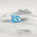 Swarovski_Idyllia_SCS_conch_shell_and_pearl_5690545 | The Crystal Lodge